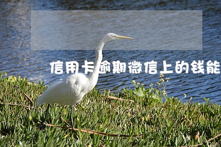 信用卡逾期微信上的钱能被扣吗