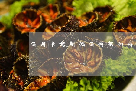 信用卡逾期微信会被扣吗 信用卡逾期微信会被扣吗
