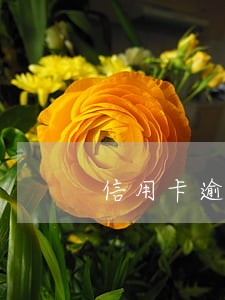 信用卡逾期微信流水 信用卡逾期微信流水