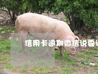 信用卡逾期微信说要调查 信用卡逾期微信说要调查
