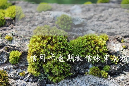 信用卡逾期微信账单会被冻结吗