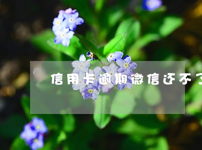 信用卡逾期微信还不了钱 信用卡逾期微信还不了钱