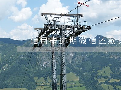 信用卡逾期微信还款记录查询 信用卡逾期微信还款记录查询