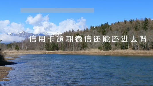 信用卡逾期微信还能还进去吗 信用卡逾期微信还能还进去吗
