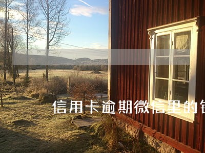 信用卡逾期微信里的钱会被冻结吗