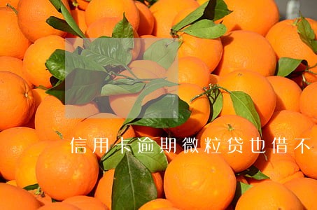 信用卡逾期微粒贷也借不出来 信用卡逾期微粒贷也借不出来