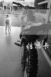 信用卡逾期微粒贷开通不了哪 信用卡逾期微粒贷开通不了哪