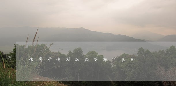 信用卡逾期微粒贷能下来吗 信用卡逾期微粒贷能下来吗
