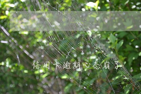 信用卡逾期心态崩了 信用卡逾期心态崩了