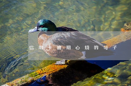信用卡逾期心烦的句子 信用卡逾期心烦的句子