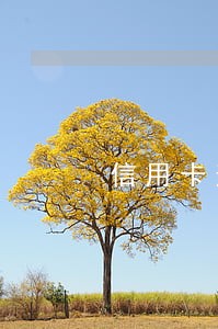 信用卡逾期心理压力大