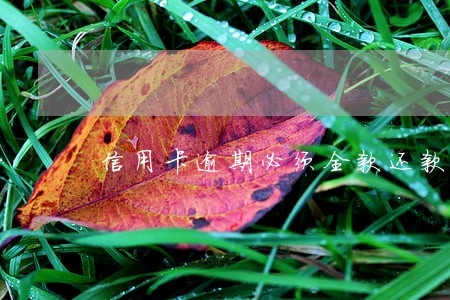 信用卡逾期必须全款还款怎么办
