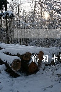 信用卡逾期必须全额还款吗 信用卡逾期必须全额还款吗