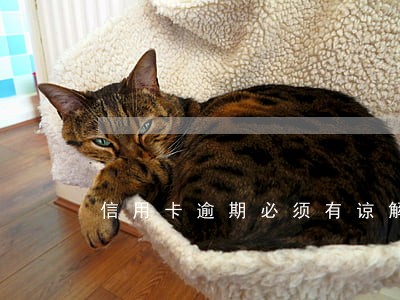 信用卡逾期必须有谅解书 信用卡逾期必须有谅解书