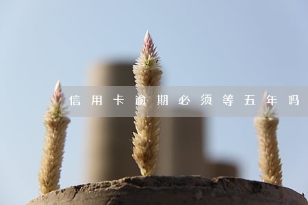 信用卡逾期必须等五年吗 信用卡逾期必须等五年吗