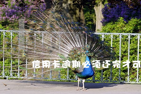 信用卡逾期必须还完才可以销卡吗