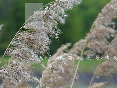 信用卡逾期必须还清账单才 信用卡逾期必须还清账单才