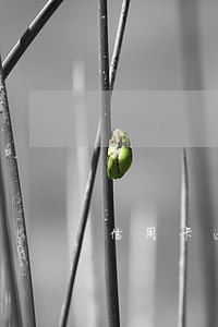 信用卡逾期必须通知家人嘛