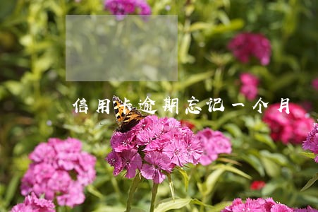 信用卡逾期忘记一个月 信用卡逾期忘记一个月