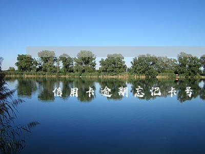 信用卡逾期忘记卡号 信用卡逾期忘记卡号