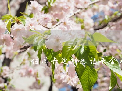 信用卡逾期忘记本金是多少怎么办 信用卡逾期忘记本金是多少怎么办