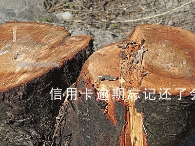 信用卡逾期忘记还了会上征信吗