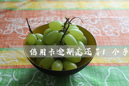 信用卡逾期忘还了1个多月 信用卡逾期忘还了1个多月