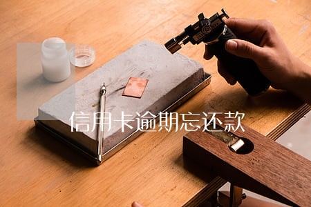 信用卡逾期忘还款 信用卡逾期忘还款