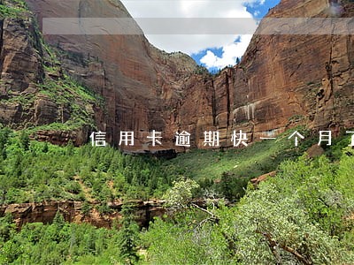 信用卡逾期快一个月了罚金