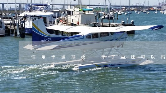 信用卡逾期快一年了再还可以吗 信用卡逾期快一年了再还可以吗