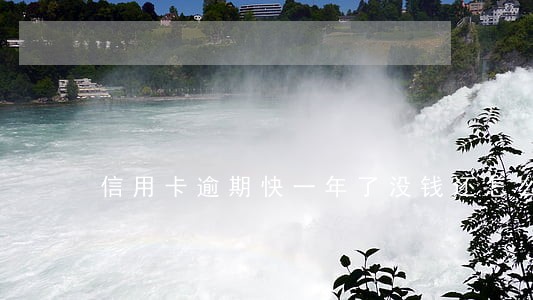 信用卡逾期快一年了没钱还怎么办