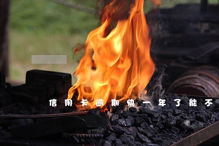 信用卡逾期快一年了能不能坐飞机