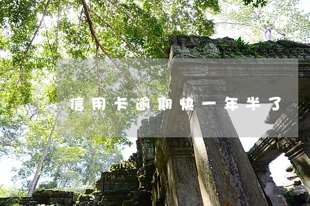 信用卡逾期快一年半了