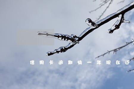 信用卡逾期快一年现在还 信用卡逾期快一年现在还