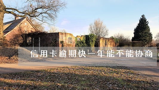 信用卡逾期快一年能不能协商