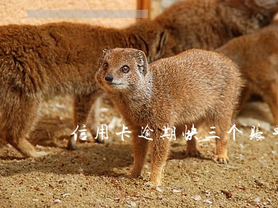 信用卡逾期快三个账单 信用卡逾期快三个账单