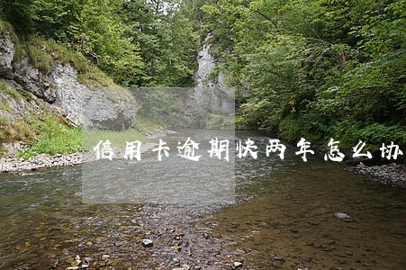 信用卡逾期快两年怎么协商分期还 信用卡逾期快两年怎么协商分期还
