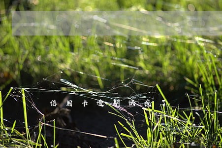 信用卡逾期快疯了 信用卡逾期快疯了