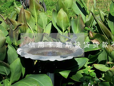 信用卡逾期快贷贷款不了