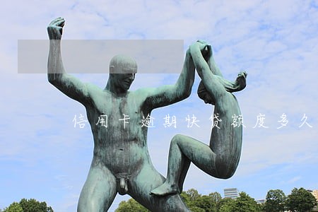 信用卡逾期快贷额度多久恢复 信用卡逾期快贷额度多久恢复