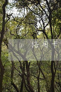 信用卡逾期态度好主动 信用卡逾期态度好主动
