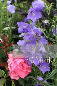 信用卡逾期怎么上传消费凭证 信用卡逾期怎么上传消费凭证