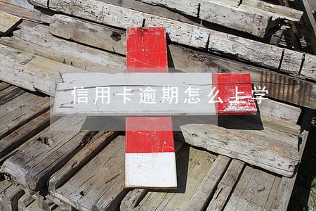 信用卡逾期怎么上学 信用卡逾期怎么上学