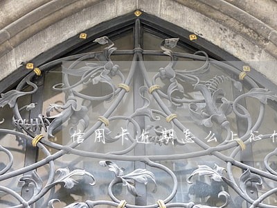 信用卡逾期怎么上征信