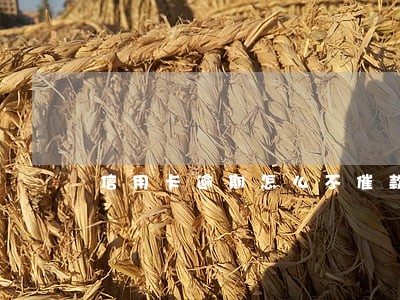 信用卡逾期怎么不催款了 信用卡逾期怎么不催款了