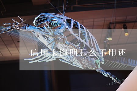信用卡逾期怎么不用还 信用卡逾期怎么不用还