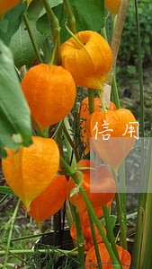 信用卡逾期怎么不让自动扣款 信用卡逾期怎么不让自动扣款