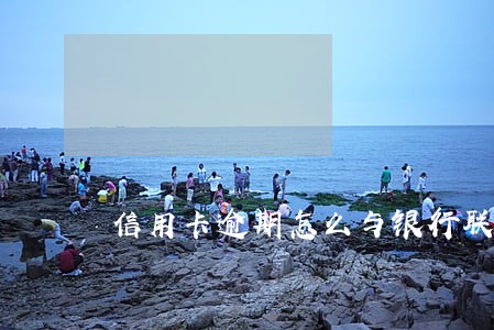 信用卡逾期怎么与银行联系 信用卡逾期怎么与银行联系