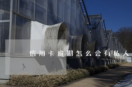 信用卡逾期怎么会有私人号码 信用卡逾期怎么会有私人号码