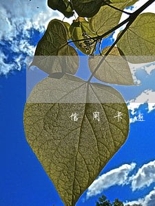 信用卡逾期怎么会知道别人号码 信用卡逾期怎么会知道别人号码
